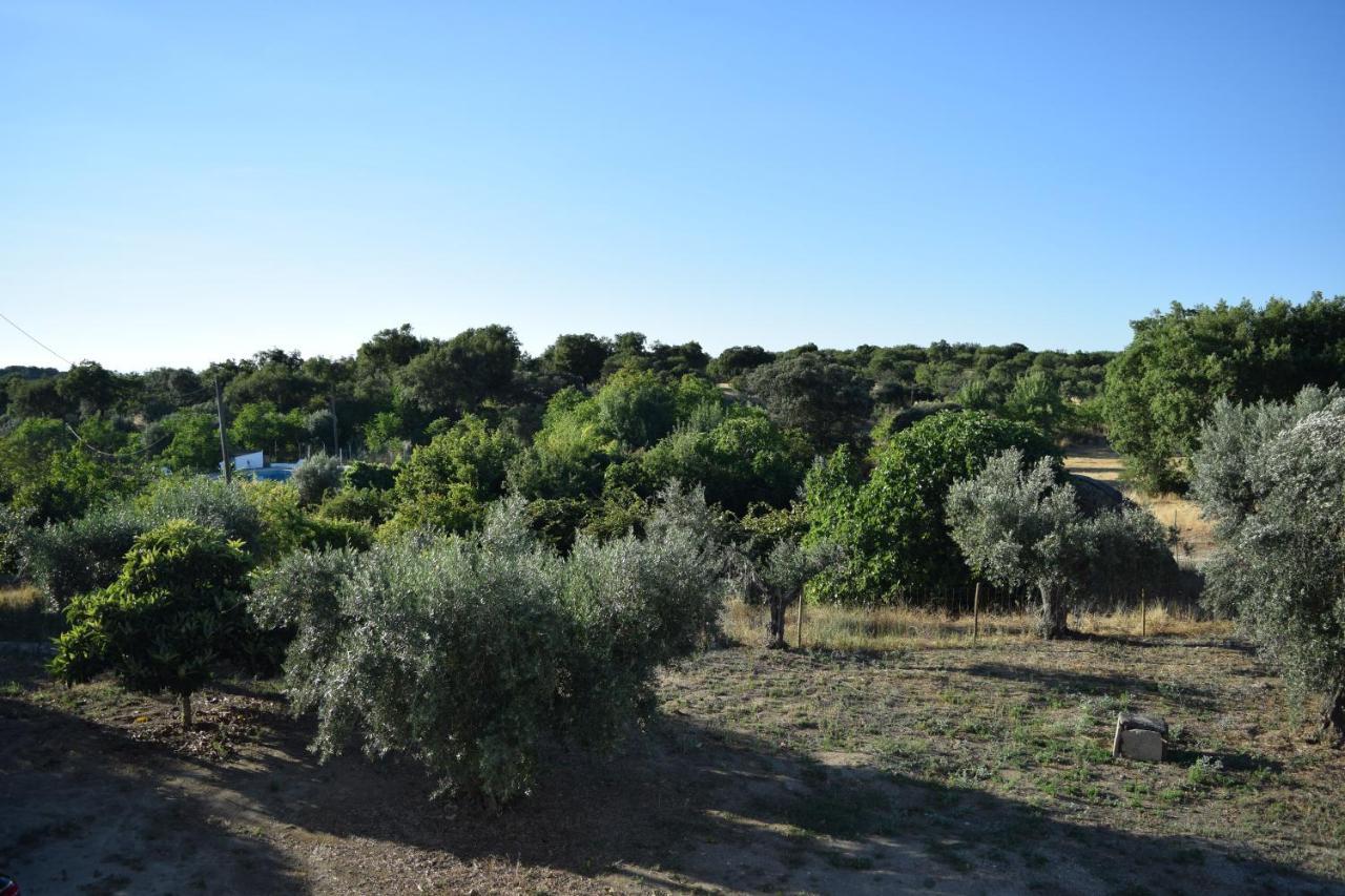 Memsoares Country House Castelo de Vide Luaran gambar